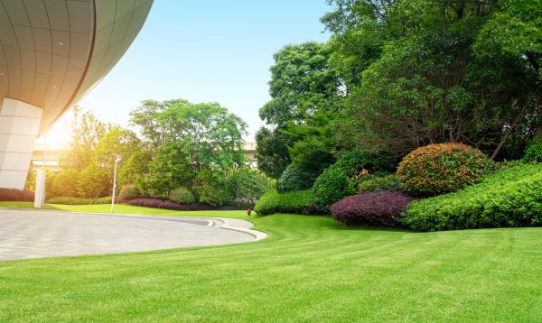 Commercial Lawn Mowing in Lawrenceville
