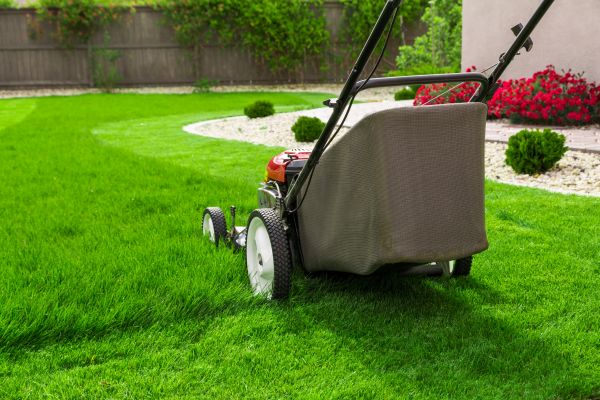Home Yard Maintenance in Lawrenceville