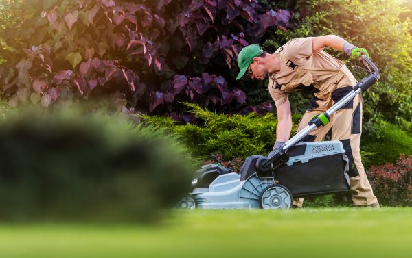 Lawn Care And Maintenance in Lawrenceville