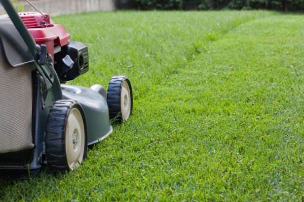 Lawn Care Service in Lawrenceville