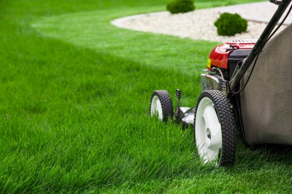 Yard Maintenance in Lawrenceville