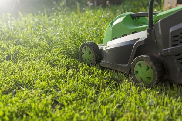 Cost of Lot Mowing in Lawrenceville