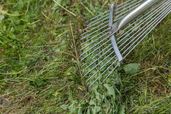 Thatch Raking in Lawrenceville