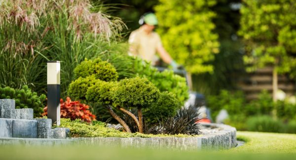 Residential Yard Maintenance in Lawrenceville