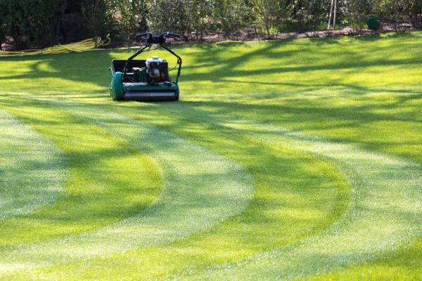 Business Lawn Mowing in Lawrenceville