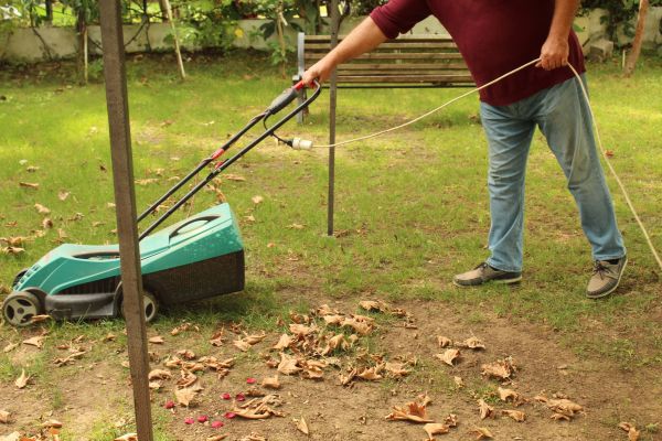 Cost of Leaves Mowing in Lawrenceville