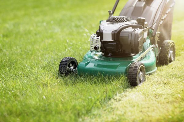 Spring Grass Trimming in Lawrenceville