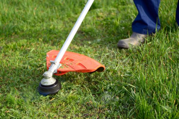 Lawn Weed Whacking in Lawrenceville