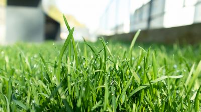 Close-up of Mowing Blades