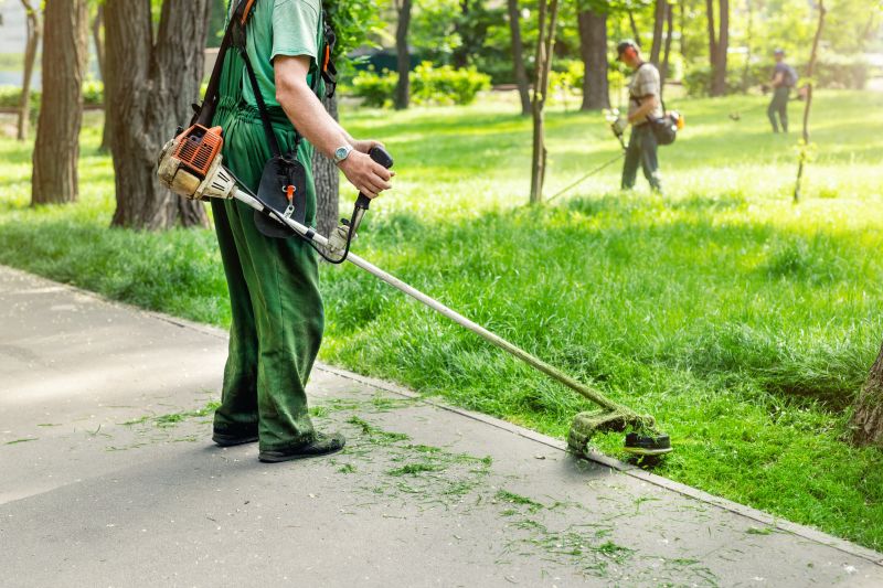 Trimming and Edging Services