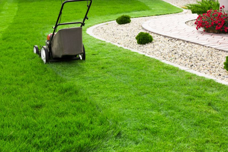 Healthy Lawn Maintenance